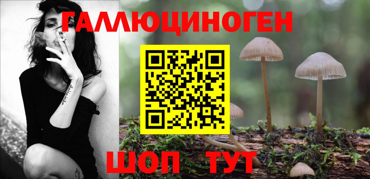 Псилоцибиновые грибы мухоморы  Вход с VPN  Псилоцибиновые грибы GOLDEN TEACHER  Евпатория 