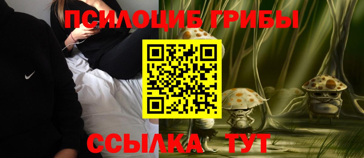 Галлюциногенные грибы прущие грибы Евпатория
